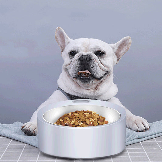 Dog Food Bowl Large Capacity Pet Feeder Detachable